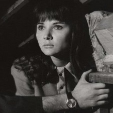 Sevda Nur 