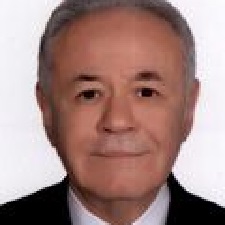 Aydın Adnan Sezgin