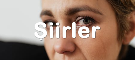 Şiirler