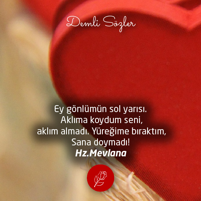 Ey gönlümün sol yarısı. Aklıma koydum seni, aklım almadı. Yüreğime bıraktım, Sana doymadı!